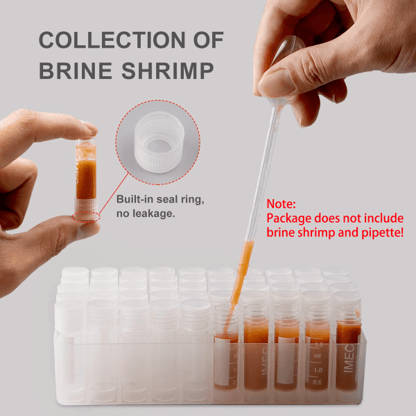 Brine Shrimp Storage Kit