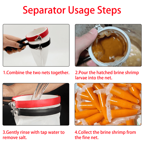 Step-by-Step Guide