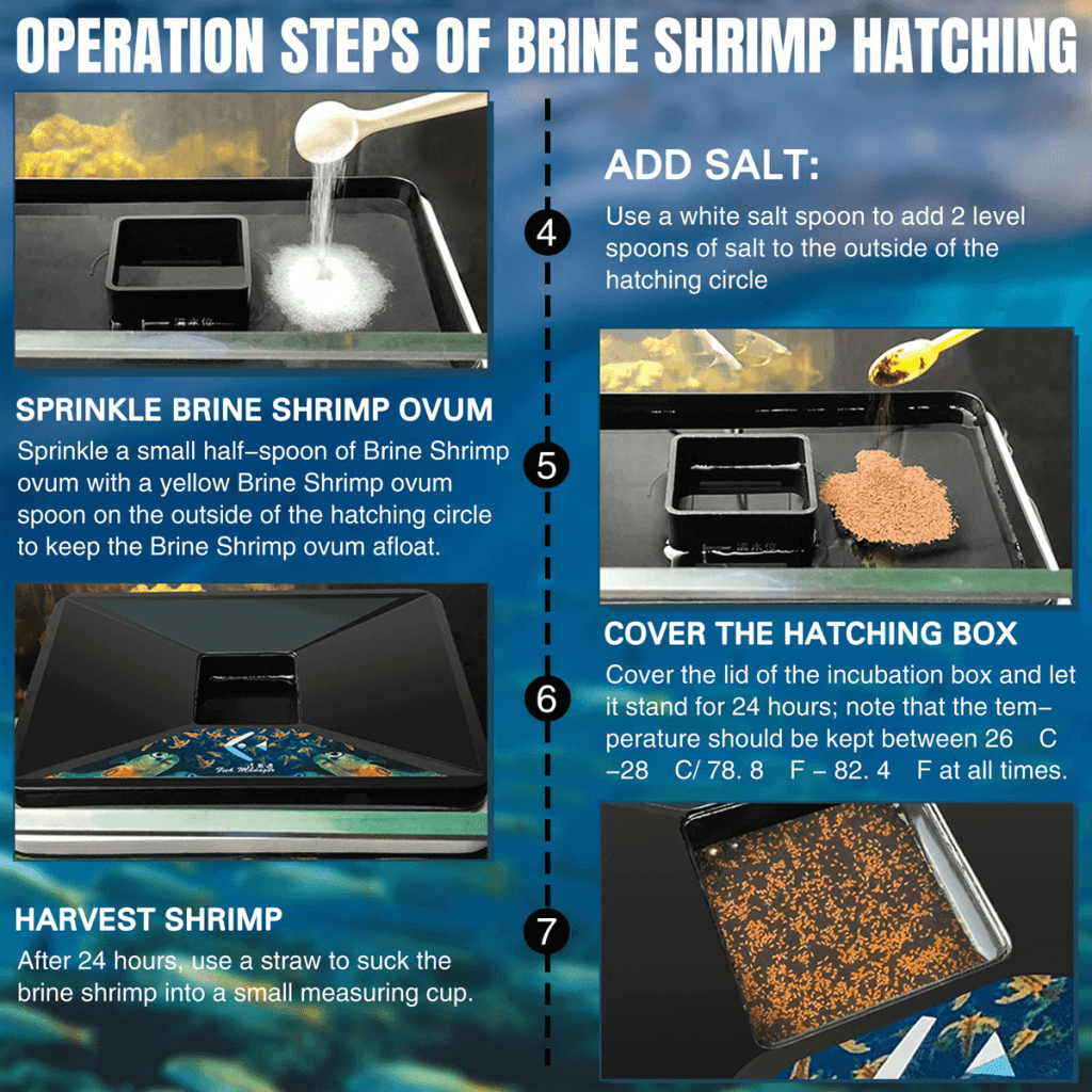 Shallow tray incubator installation steps2